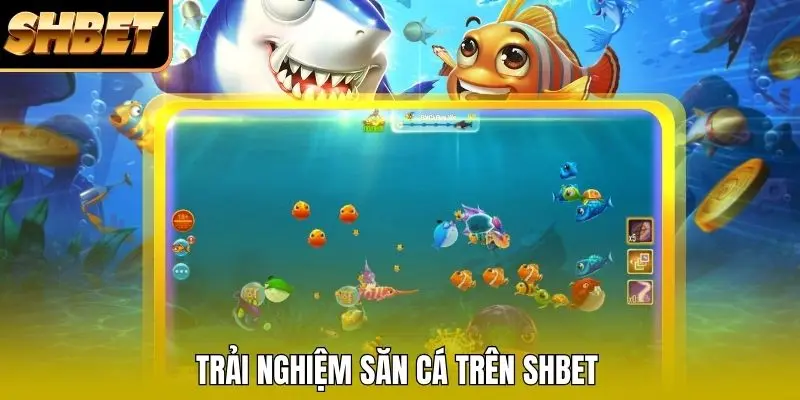 Trải nghiệm săn cá trên SHBET