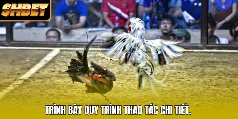 Trình bày quy trình thao tác chi tiết.
