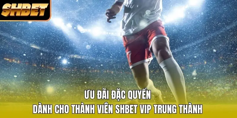 Ưu đãi đặc quyền dành cho thành viên SHBET VIP trung thành