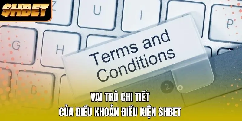 Vai trò chi tiết của điều khoản điều kiện SHBET